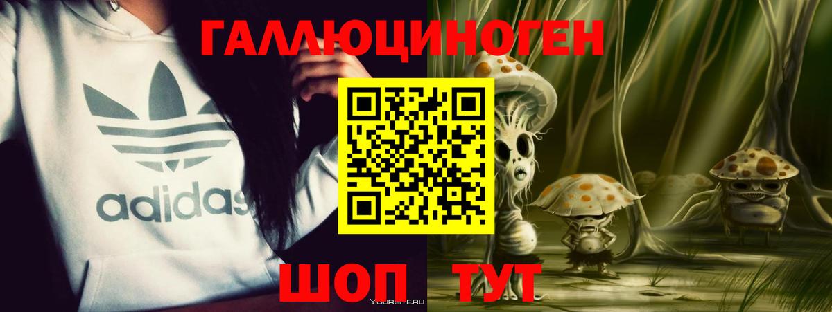 купить наркотик  Галлюциногенные грибы Cubensis  Звенигород  Вход с VPN  Псилоцибиновые грибы Psilocybe 